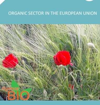 Organic Sector in the European Union