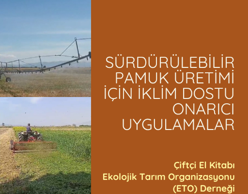 Sürdürebilir Pamuk Üretimi İçin İklim Dostu Onarıcı Uygulamalar